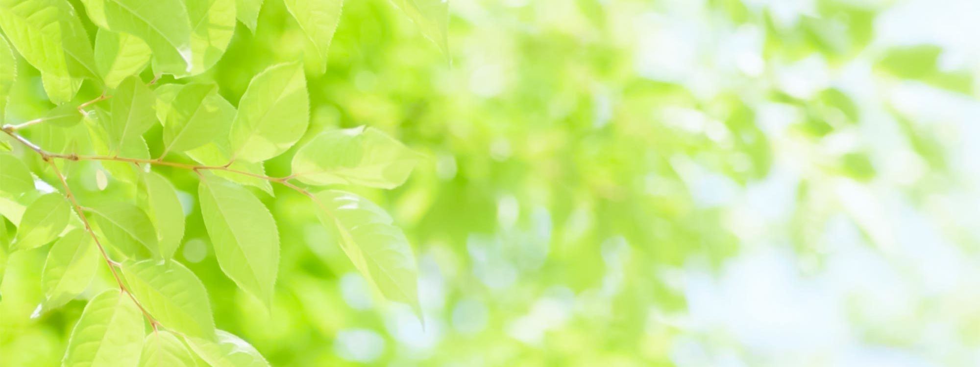 キービジュアルイメージ